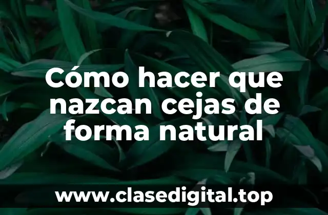 Cómo hacer que nazcan cejas de forma natural
