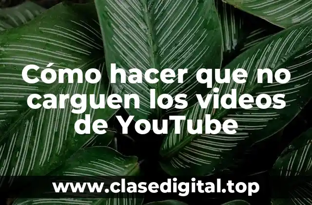 Cómo hacer que no carguen los videos de YouTube