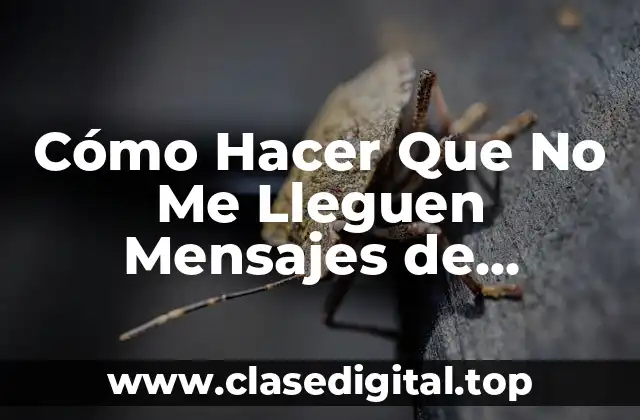 Cómo Hacer Que No Me Lleguen Mensajes de WhatsApp