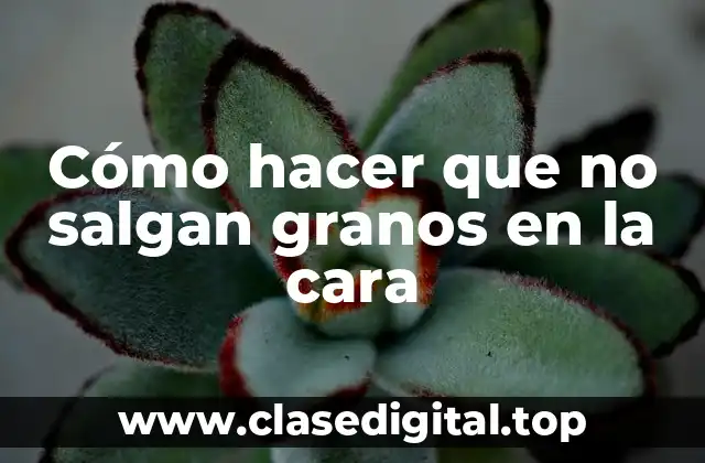 Cómo hacer que no salgan granos en la cara