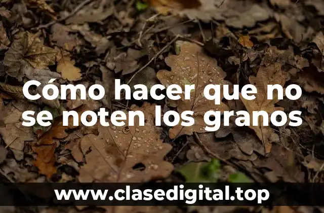Cómo hacer que no se noten los granos