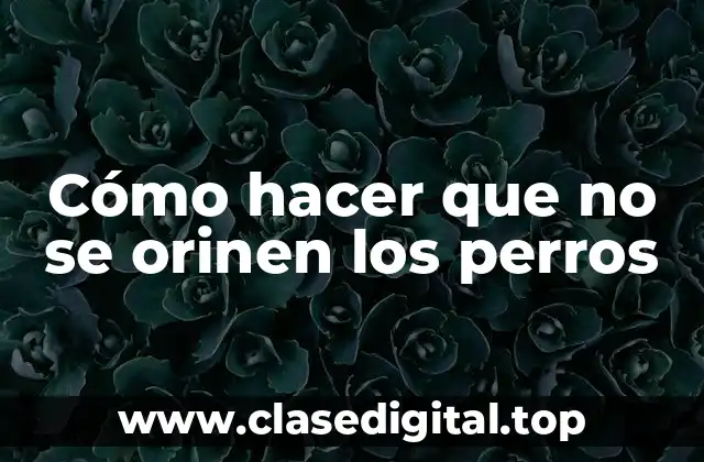 Cómo hacer que no se orinen los perros