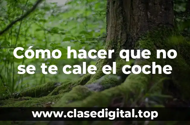 Cómo hacer que no se te cale el coche