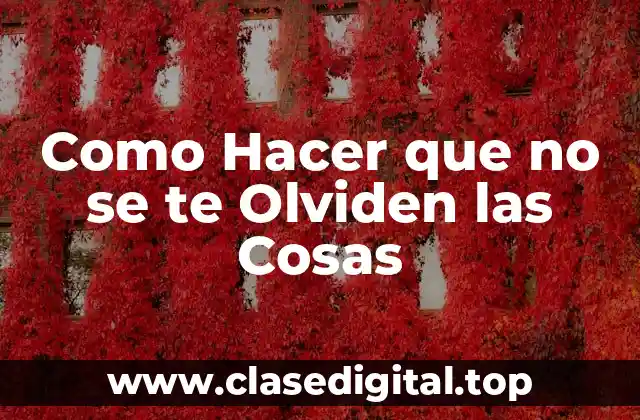 ¿Qué es la Memoria y por qué es Importante no Olvidar las Cosas?