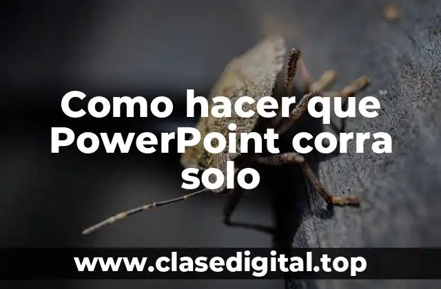 Qué es y cómo se utiliza la función de Reproducir automáticamente en PowerPoint