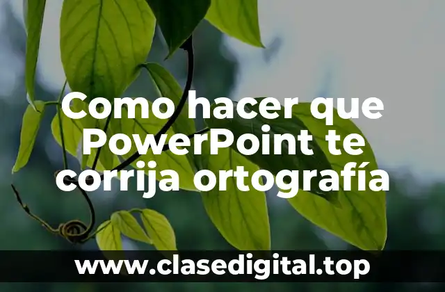 Como hacer que PowerPoint te corrija ortografía
