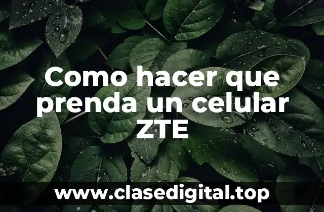 Como hacer que prenda un celular ZTE