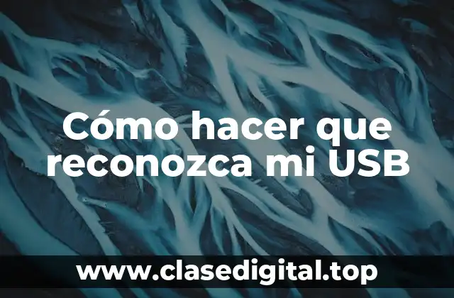 Cómo hacer que reconozca mi USB