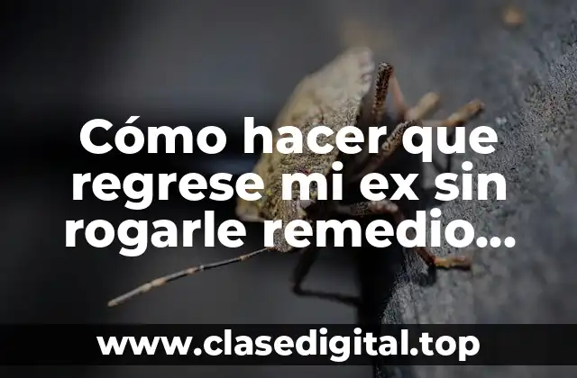 Cómo hacer que regrese mi ex sin rogarle remedio casero