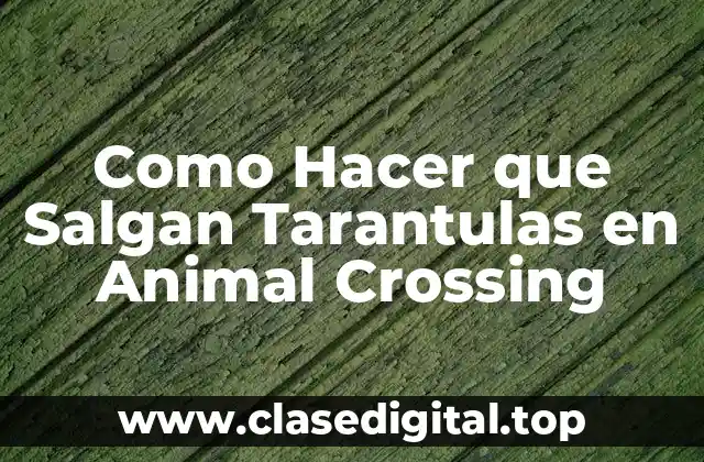 ¿Qué Son las Tarantulas en Animal Crossing y Para Qué Sirven?