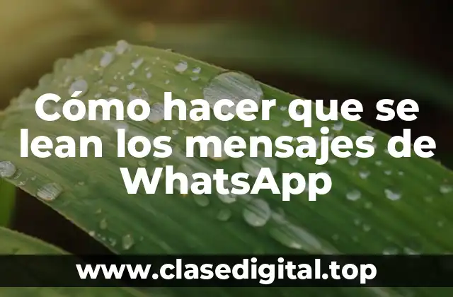 Cómo hacer que se lean los mensajes de WhatsApp