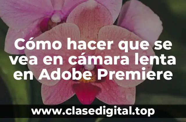 Cómo hacer que se vea en cámara lenta en Adobe Premiere