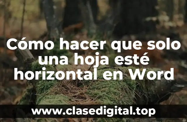 Cómo hacer que solo una hoja esté horizontal en Word