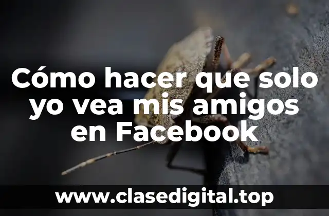 Cómo hacer que solo yo vea mis amigos en Facebook