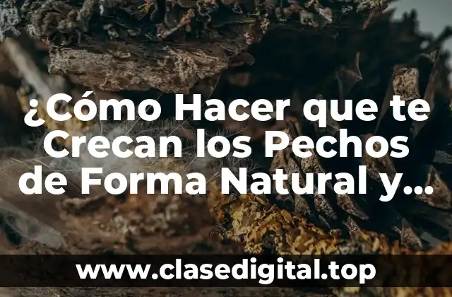 ¿Cuáles son los Factores que Afectan el Crecimiento del Pecho?