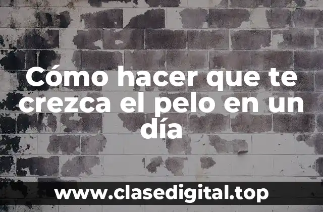Cómo hacer que te crezca el pelo en un día