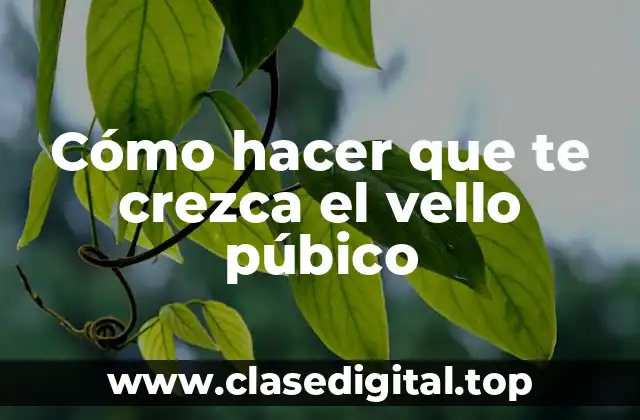Cómo hacer que te crezca el vello púbico
