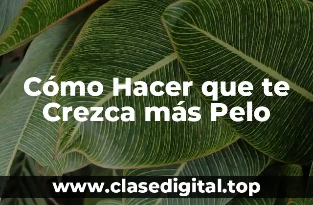 Cómo Hacer que te Crezca más Pelo