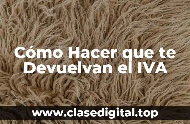 Cómo Hacer que te Devuelvan el IVA