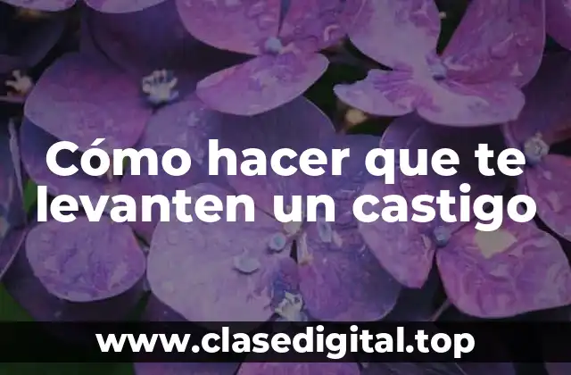 Cómo hacer que te levanten un castigo