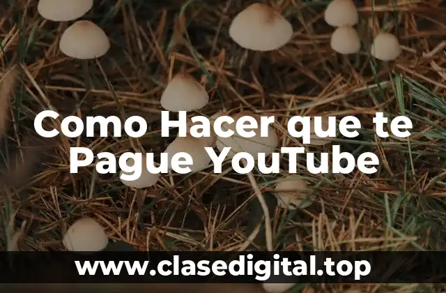 Como Hacer que te Pague YouTube