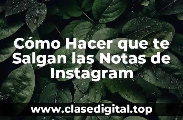 ¿Por qué son Importantes las Notas de Instagram?