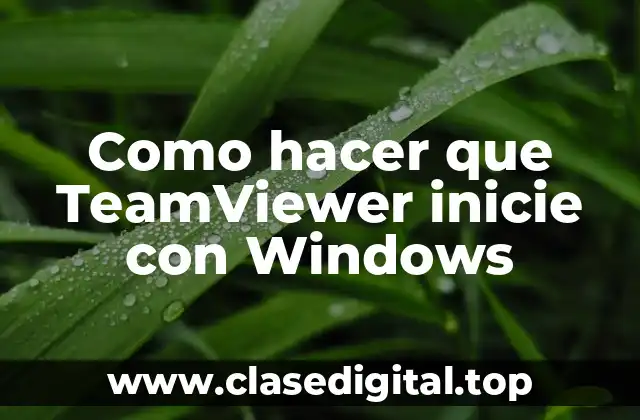 Como hacer que TeamViewer inicie con Windows