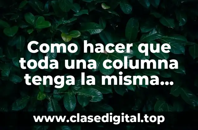 Como hacer que toda una columna tenga la misma fórmula