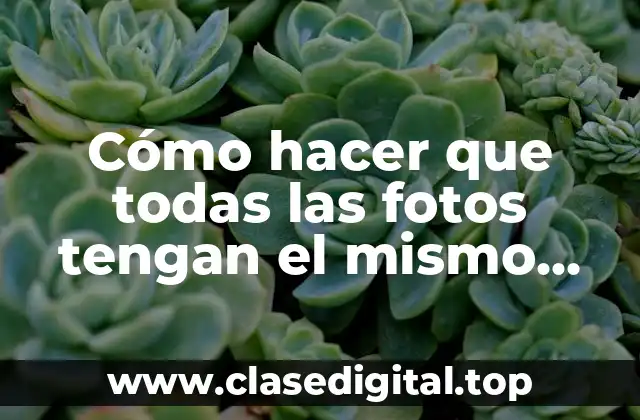 Cómo hacer que todas las fotos tengan el mismo color