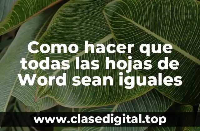 Como hacer que todas las hojas de Word sean iguales