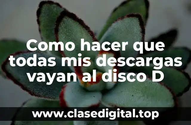 Como hacer que todas mis descargas vayan al disco D