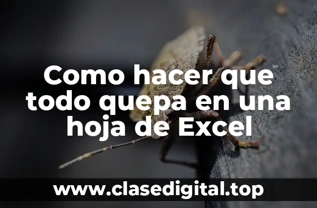 Como hacer que todo quepa en una hoja de Excel