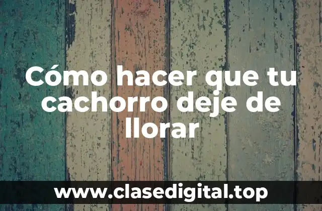 Cómo hacer que tu cachorro deje de llorar