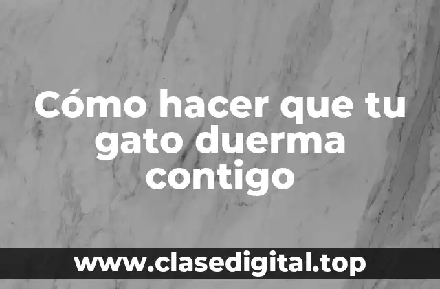 Cómo hacer que tu gato duerma contigo