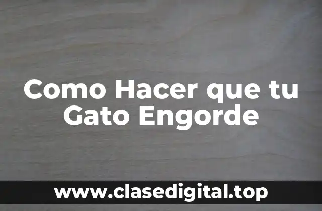 Como Hacer que tu Gato Engorde