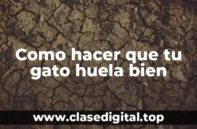 Como hacer que tu gato huela bien