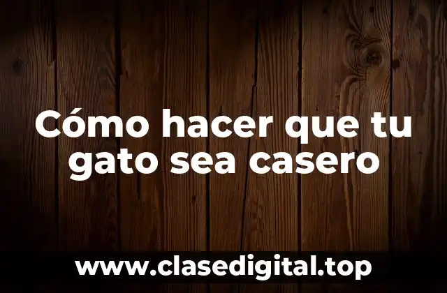 Cómo hacer que tu gato sea casero