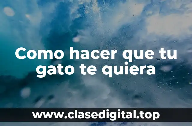 Como hacer que tu gato te quiera