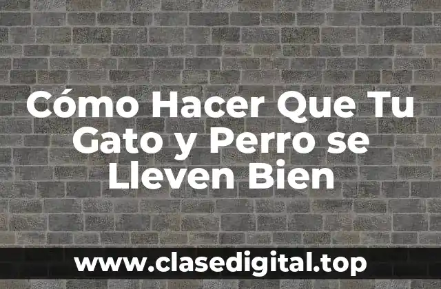 Cómo Hacer Que Tu Gato y Perro se Lleven Bien