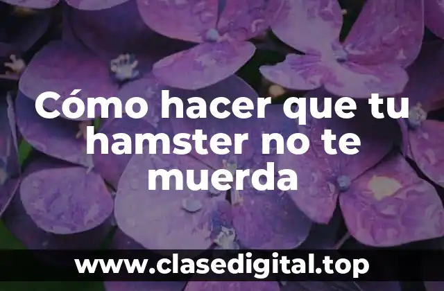 Cómo hacer que tu hamster no te muerda