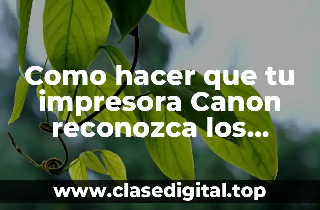Como hacer que tu impresora Canon reconozca los cartuchos