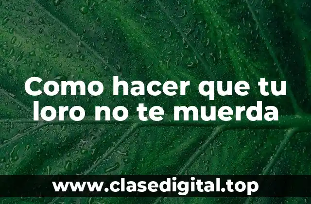 Como hacer que tu loro no te muerda