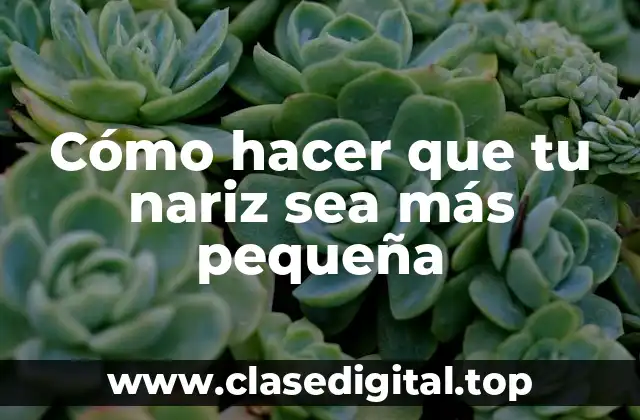 Cómo hacer que tu nariz sea más pequeña