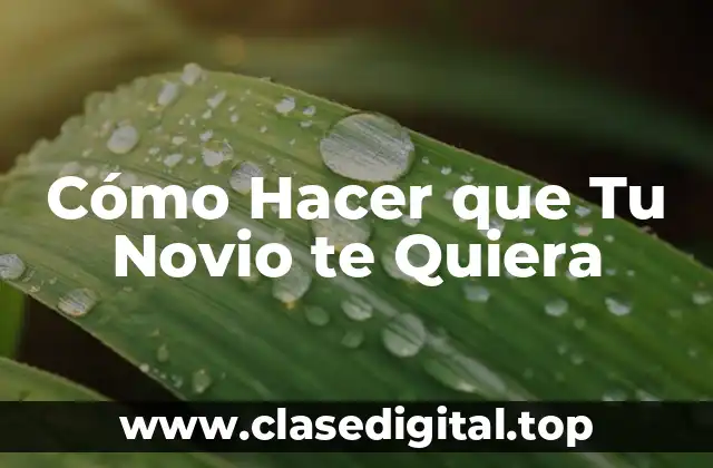 Cómo Hacer que Tu Novio te Quiera