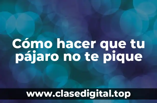 Cómo hacer que tu pájaro no te pique