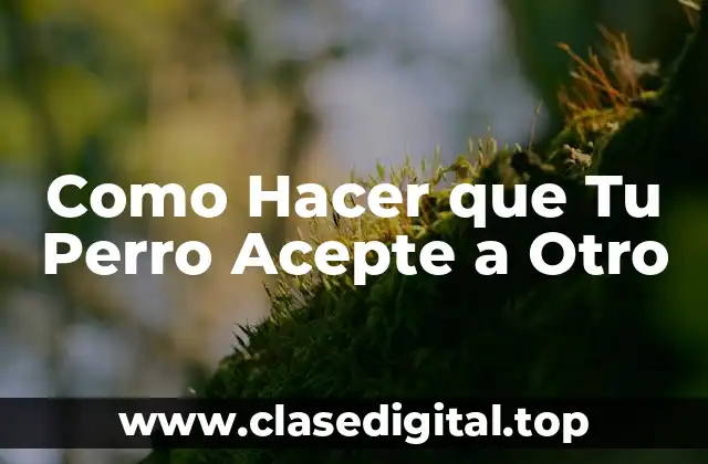 Como Hacer que Tu Perro Acepte a Otro