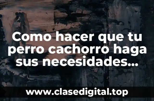 Como hacer que tu perro cachorro haga sus necesidades afuera