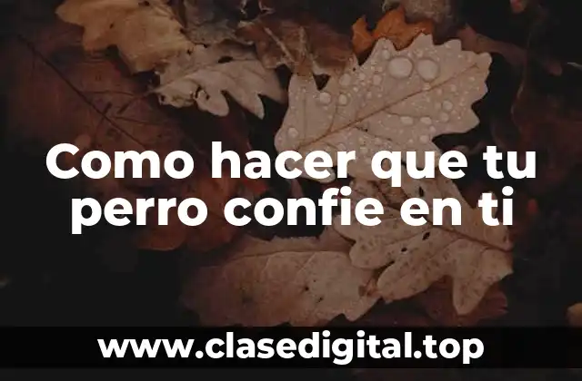 Como hacer que tu perro confie en ti