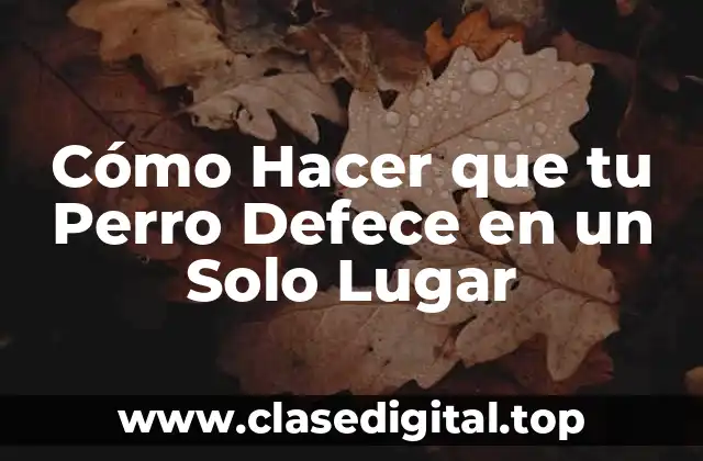 Cómo Hacer que tu Perro Defece en un Solo Lugar