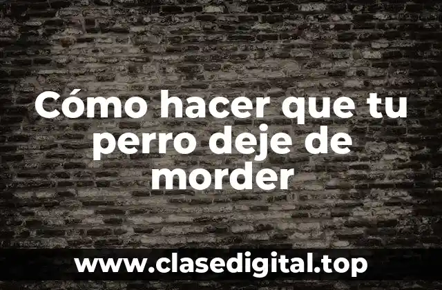 Cómo hacer que tu perro deje de morder